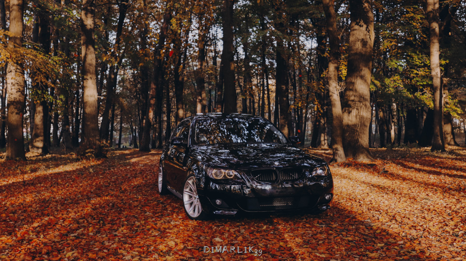 autumn photos part 2 — BMW 5 series (E60), 2,5 л, 2006 года ...