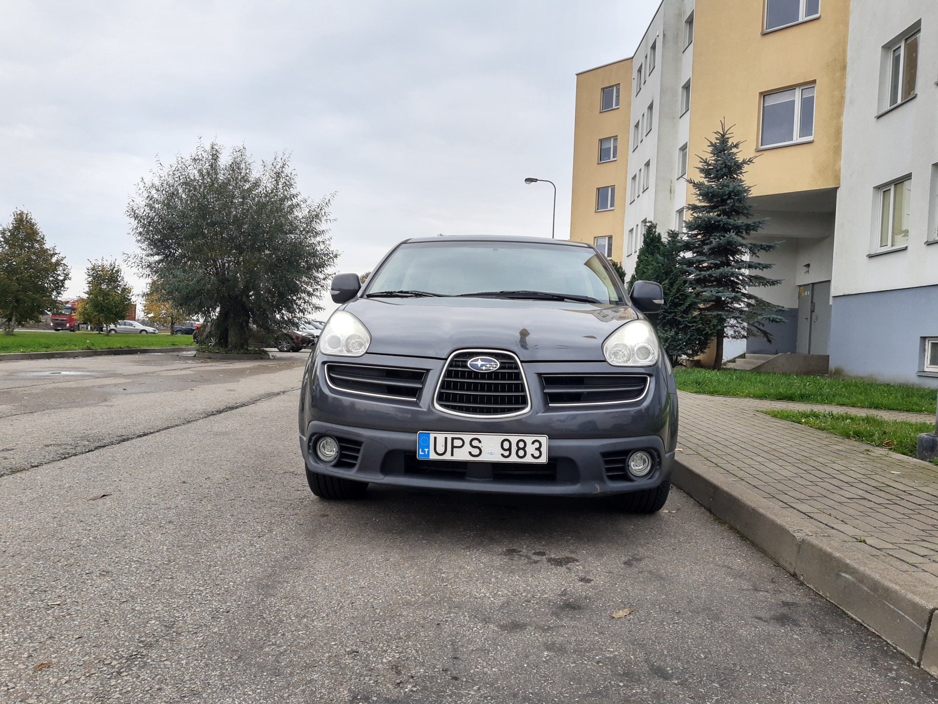 Дхо в поворотники — Subaru Tribeca B9, 3 л, 2007 года | аксессуары | DRIVE2