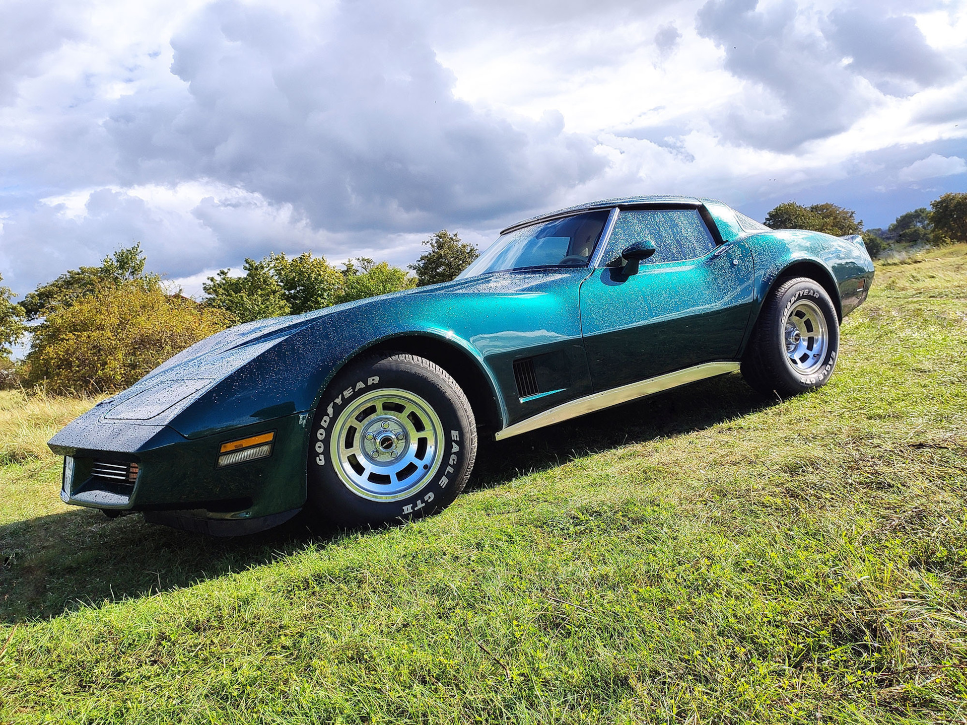 пара летних солнечных фото ) — Chevrolet Corvette C3, 6,2 л, 1980 года |  фотография | DRIVE2