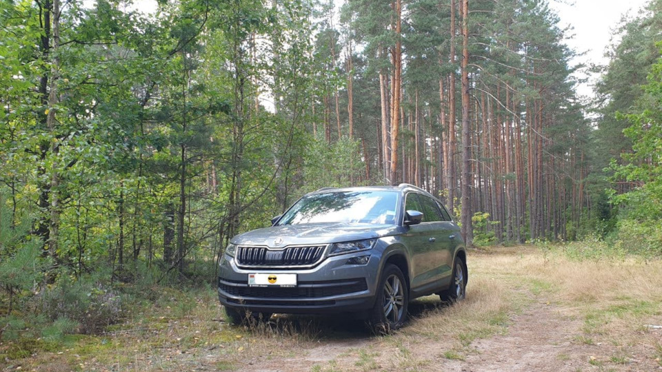 Примерзает и не открывается стекло водительской двери — Skoda Kodiaq ...