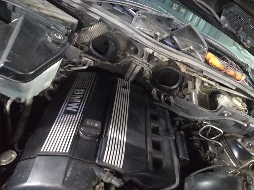 Фото в бортжурнале BMW X5 (E53)