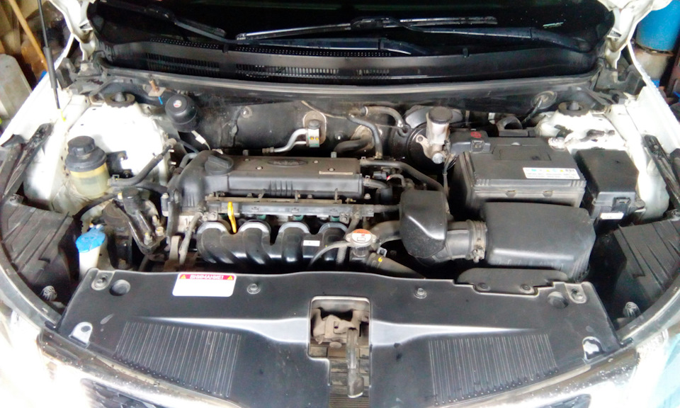 Замена переднего ступечного подшипника. Очередное ТО. — KIA Rio (3G), 1 ...