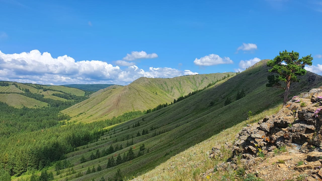 Хребет нурали фото