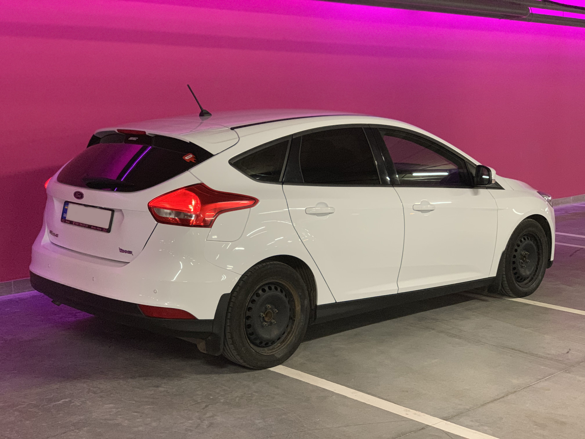 Ford 3 Focus С…СЌС‚С‡Р±РµРє Р±РµР»С‹Р№ РўСЋРЅРёРЅ