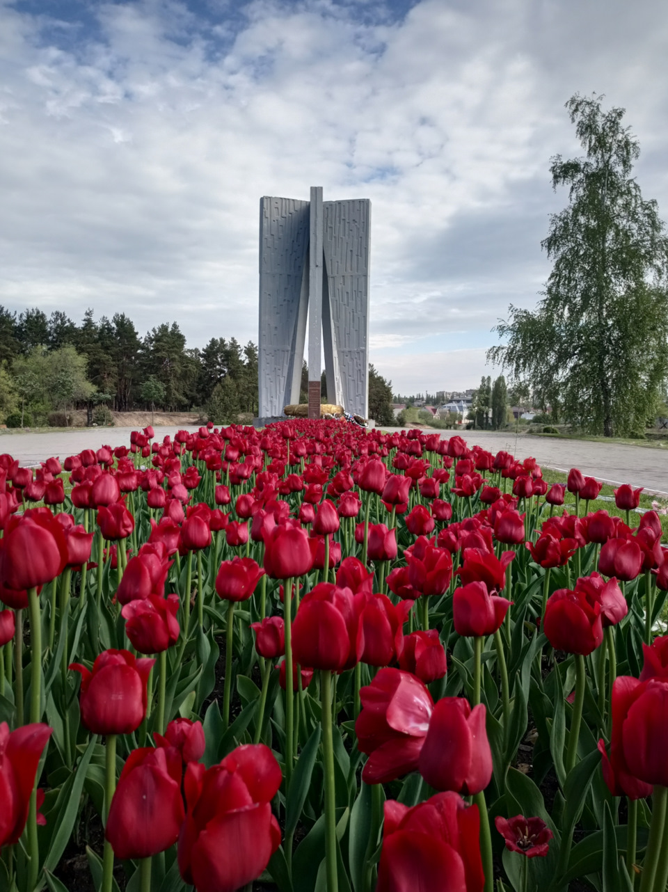 Песчаный лог воронеж фото