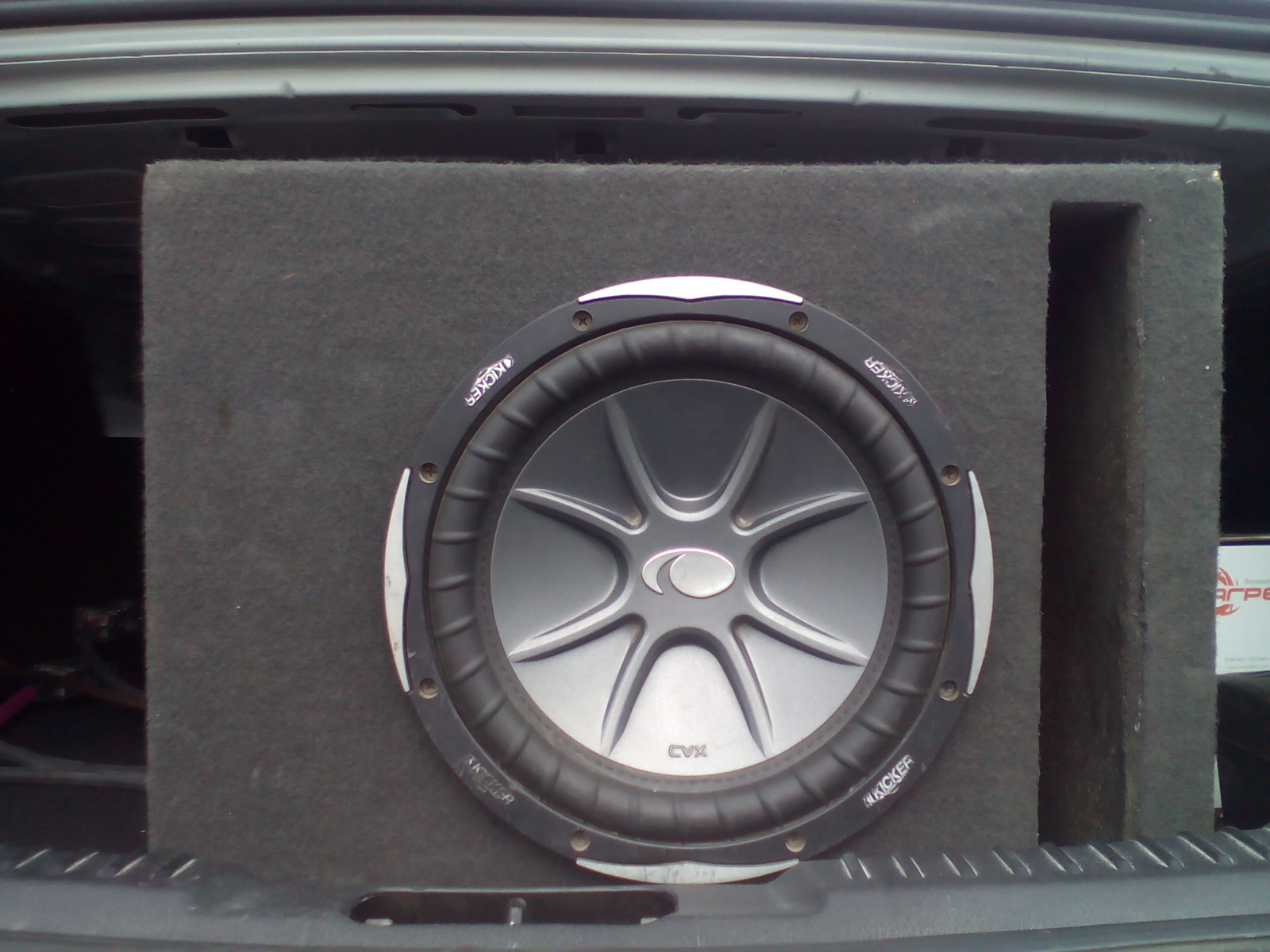 Kicker cvx 2024