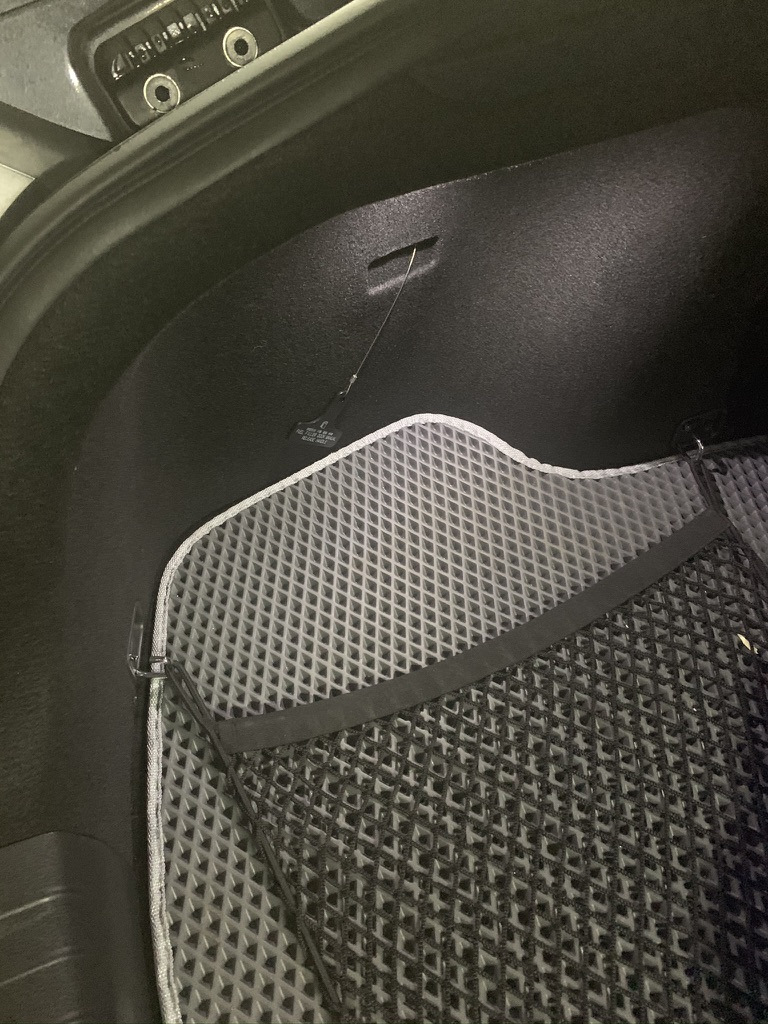 Фото в бортжурнале KIA Stinger