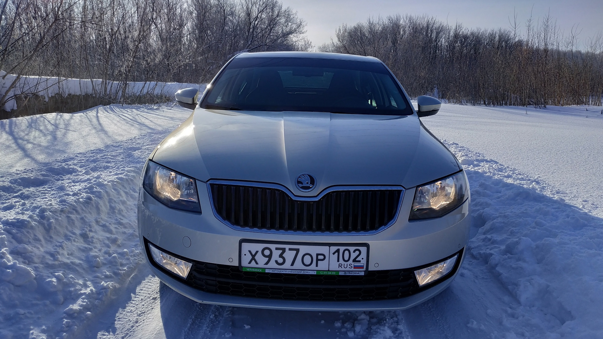 Skoda Octavia A7 Mk3 1.4 бензиновый 2015 | на DRIVE2