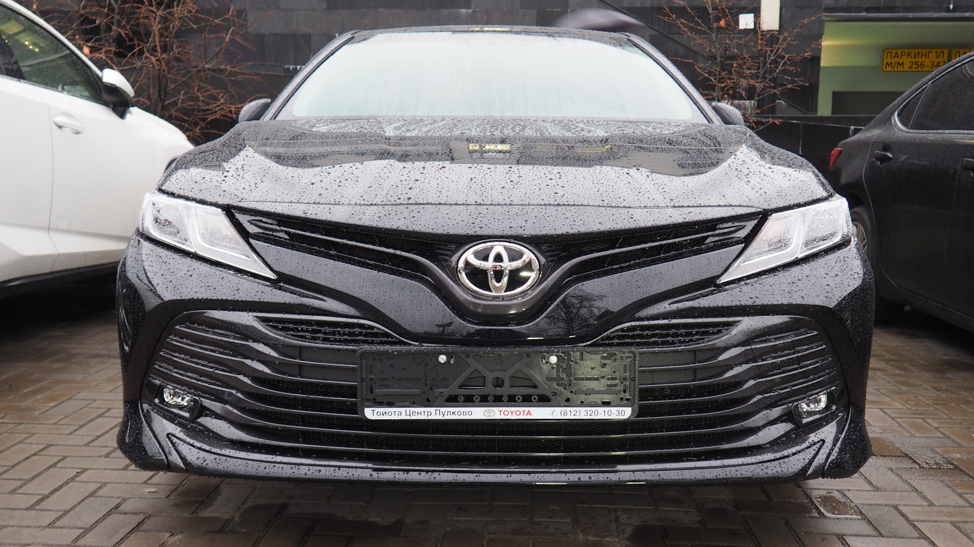 Toyota Camry (XV70) 2.0 бензиновый 2018 | 2.0 Классик на DRIVE2