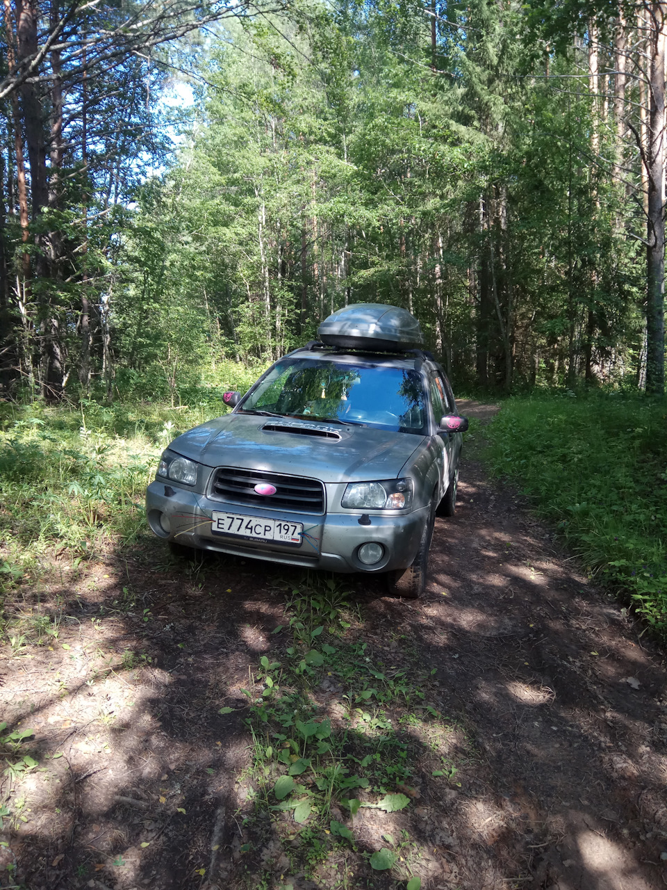 Поездка на севера 2019. Тотьма. Тиуновское святилище. Тарногский Городок. —  DRIVE2