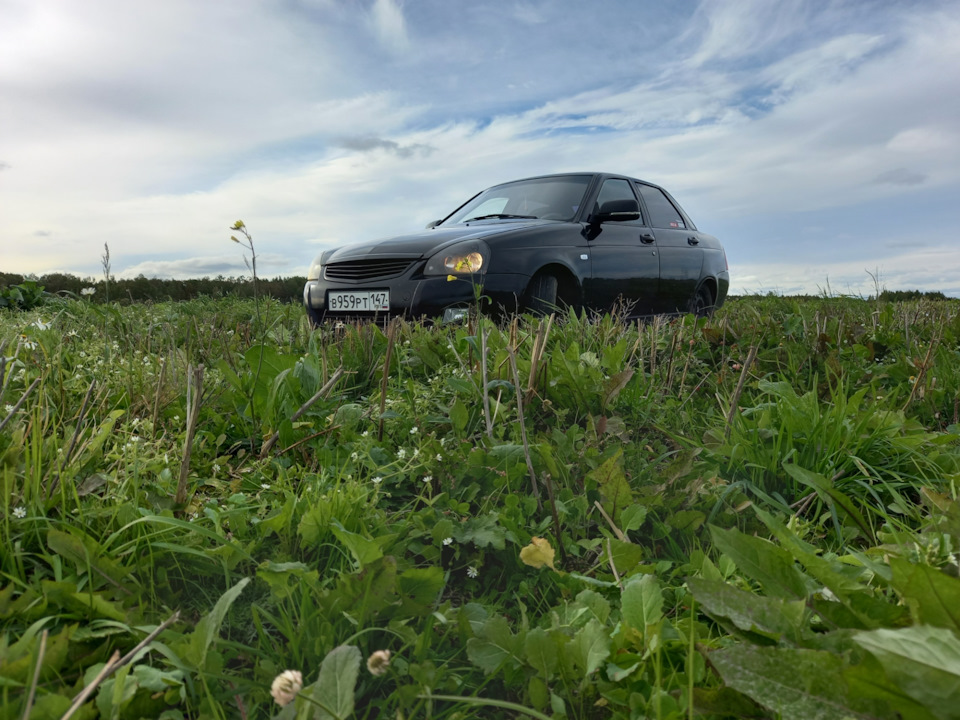 Нет возбуждения — Lada Приора седан, 1,6 л., 2009 года | своими руками ...