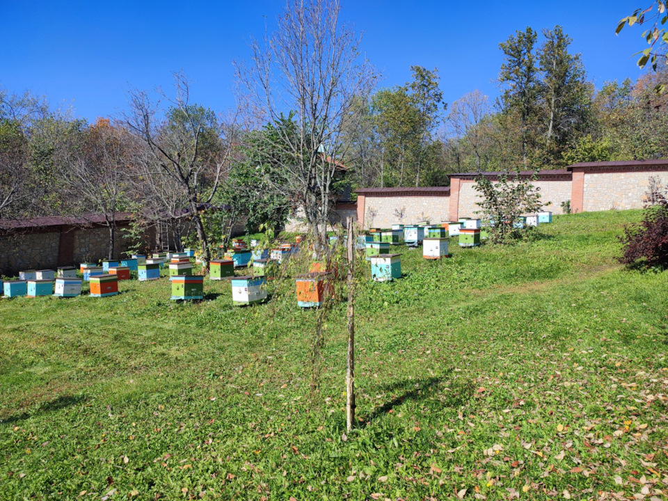 Фото в бортжурнале Renault Duster (1G)
