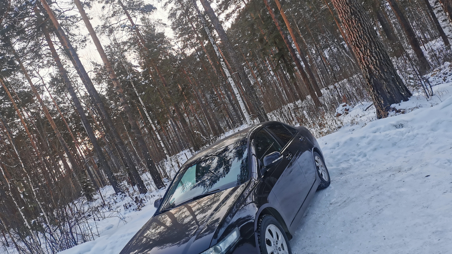 Honda Accord (7G) 2.4 бензиновый 2006 | на DRIVE2