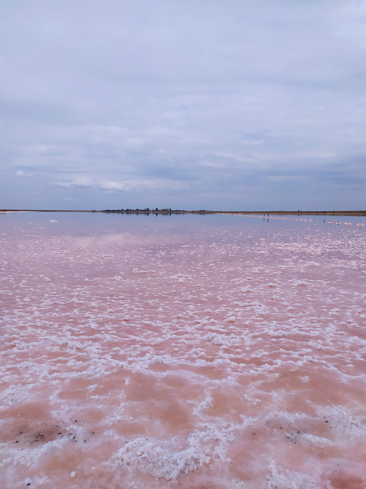 Крым село соляное фото