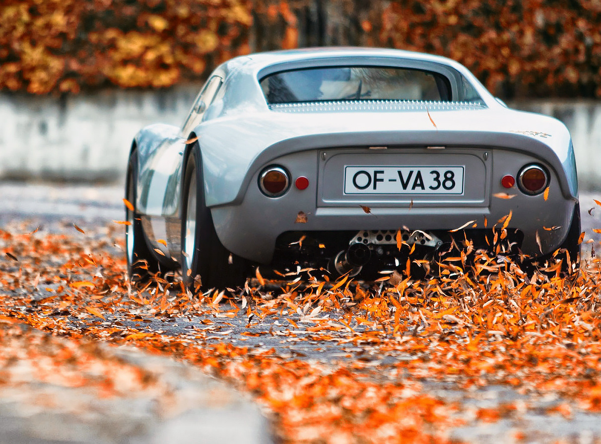 Porsche 911 autumn