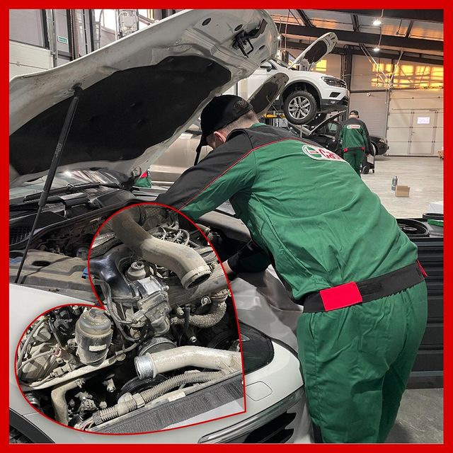 Немеция: отзывы, цены, фото