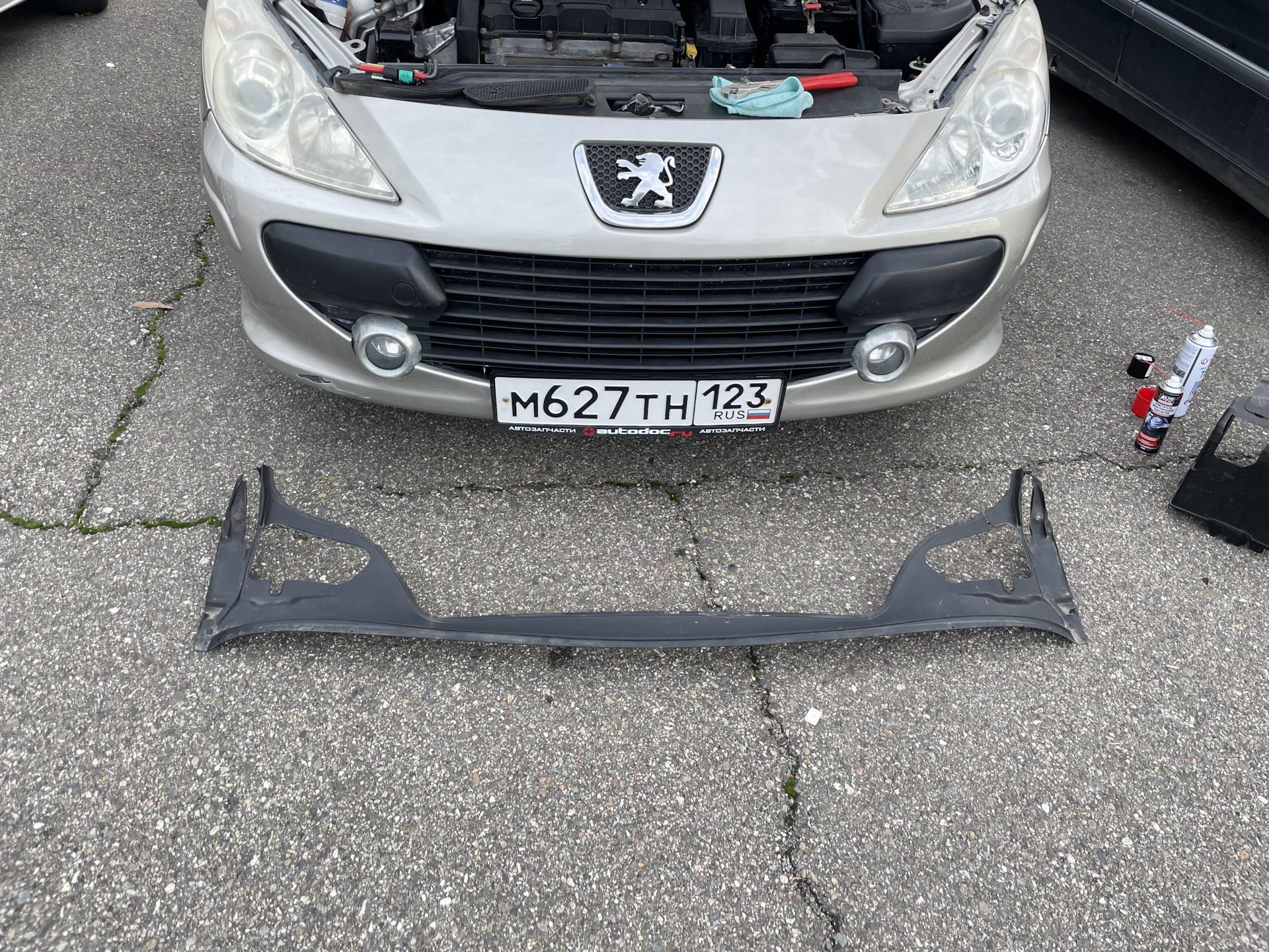 Он не может без внимания 1: протечка жабо, ремонт эгура — Peugeot 307 ...