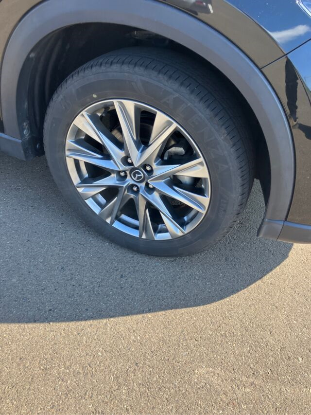 Фото в бортжурнале Mazda CX-8