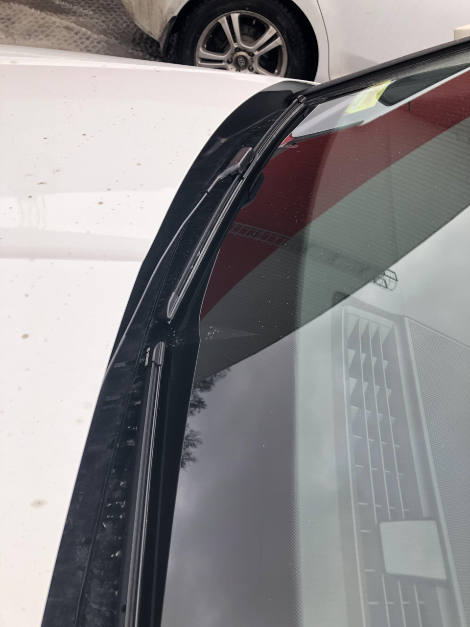 Фото в бортжурнале Skoda Kodiaq