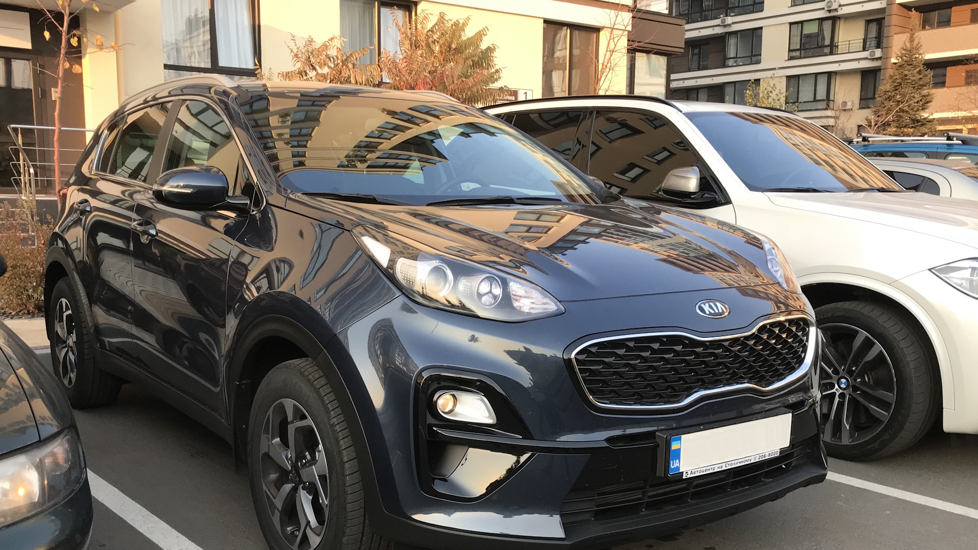 Cosmo blue. Cosmo Blue Sportage.