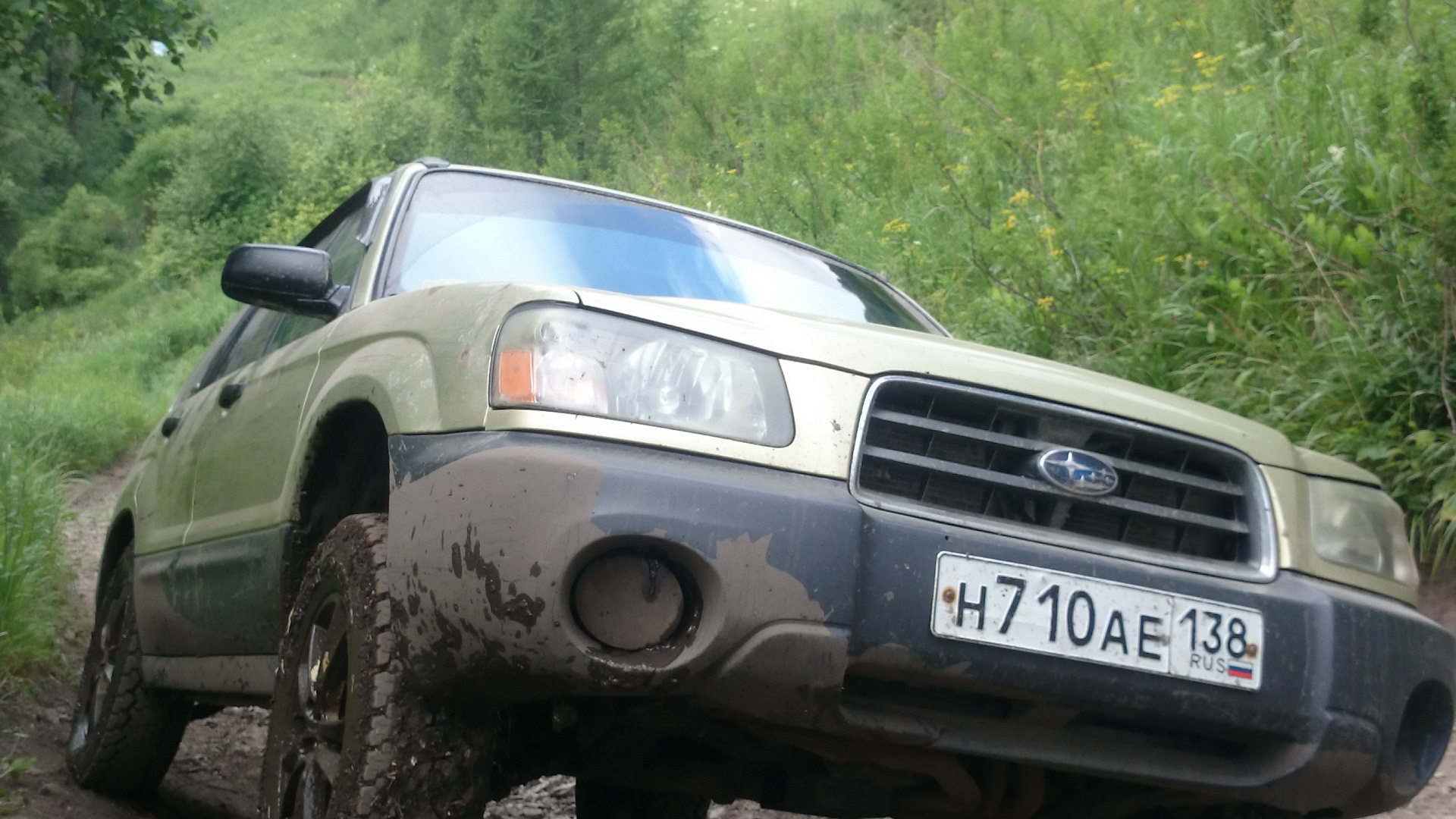 Subaru Forester (SG) 2.5 бензиновый 2003 | А.Т.М.О. B.R.A.T. ® на DRIVE2