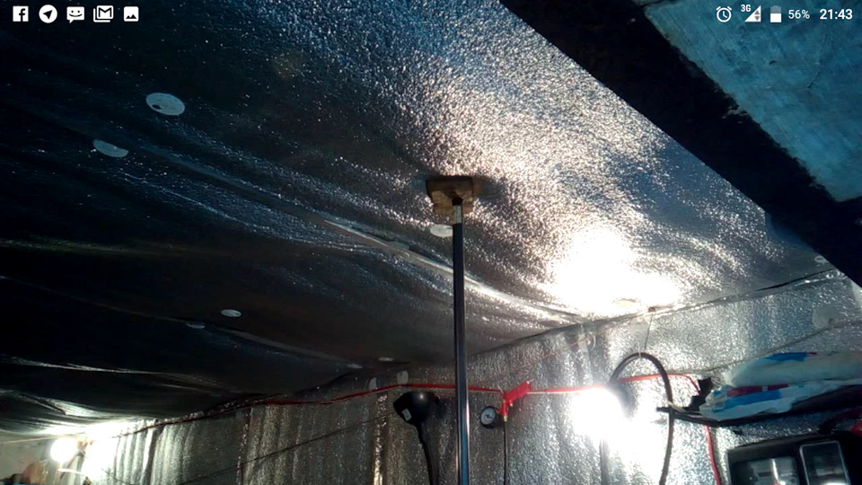 Фото в бортжурнале Audi 80 (B3)