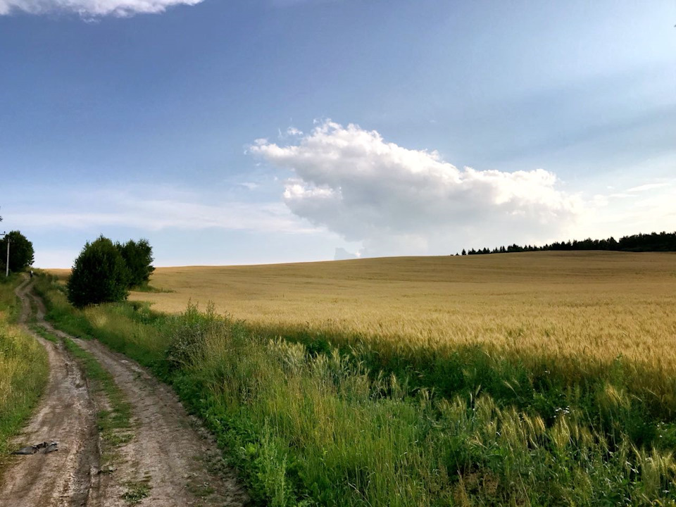 Фото в бортжурнале УАЗ 315195 Hunter