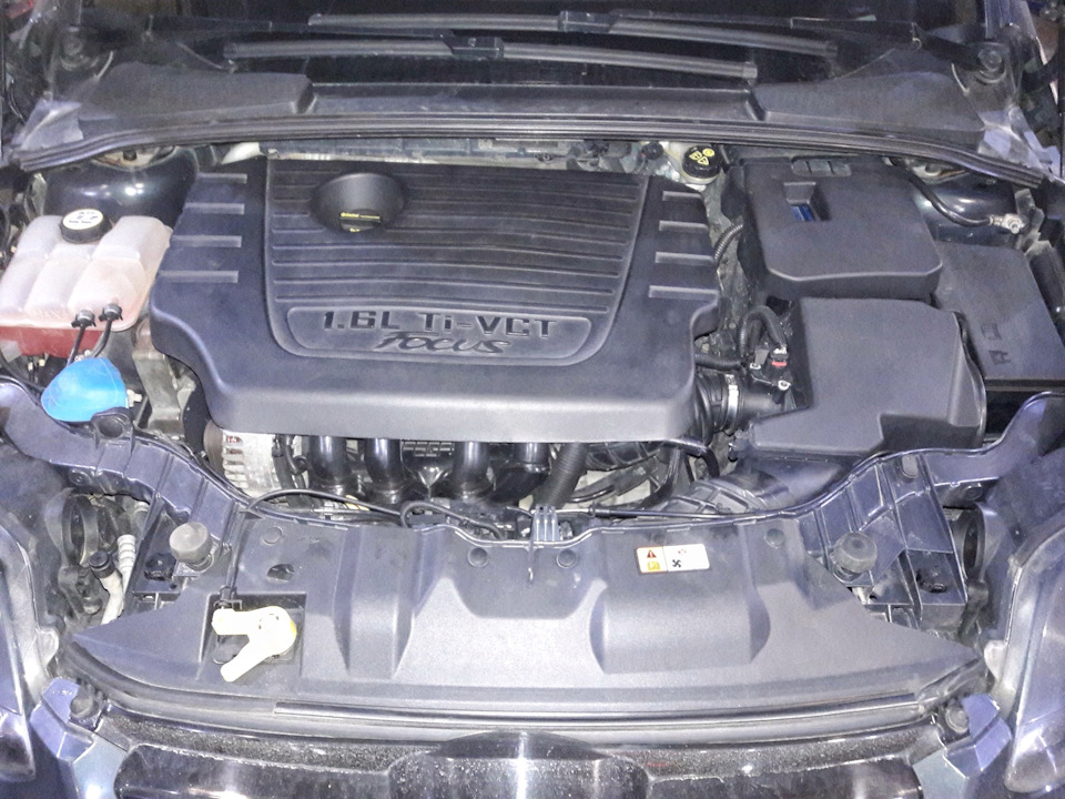 Подмыться уже после всех процедур сил не было, поэтому просто подтерся тряпочкой ))) — Ford Focus Hatchback III