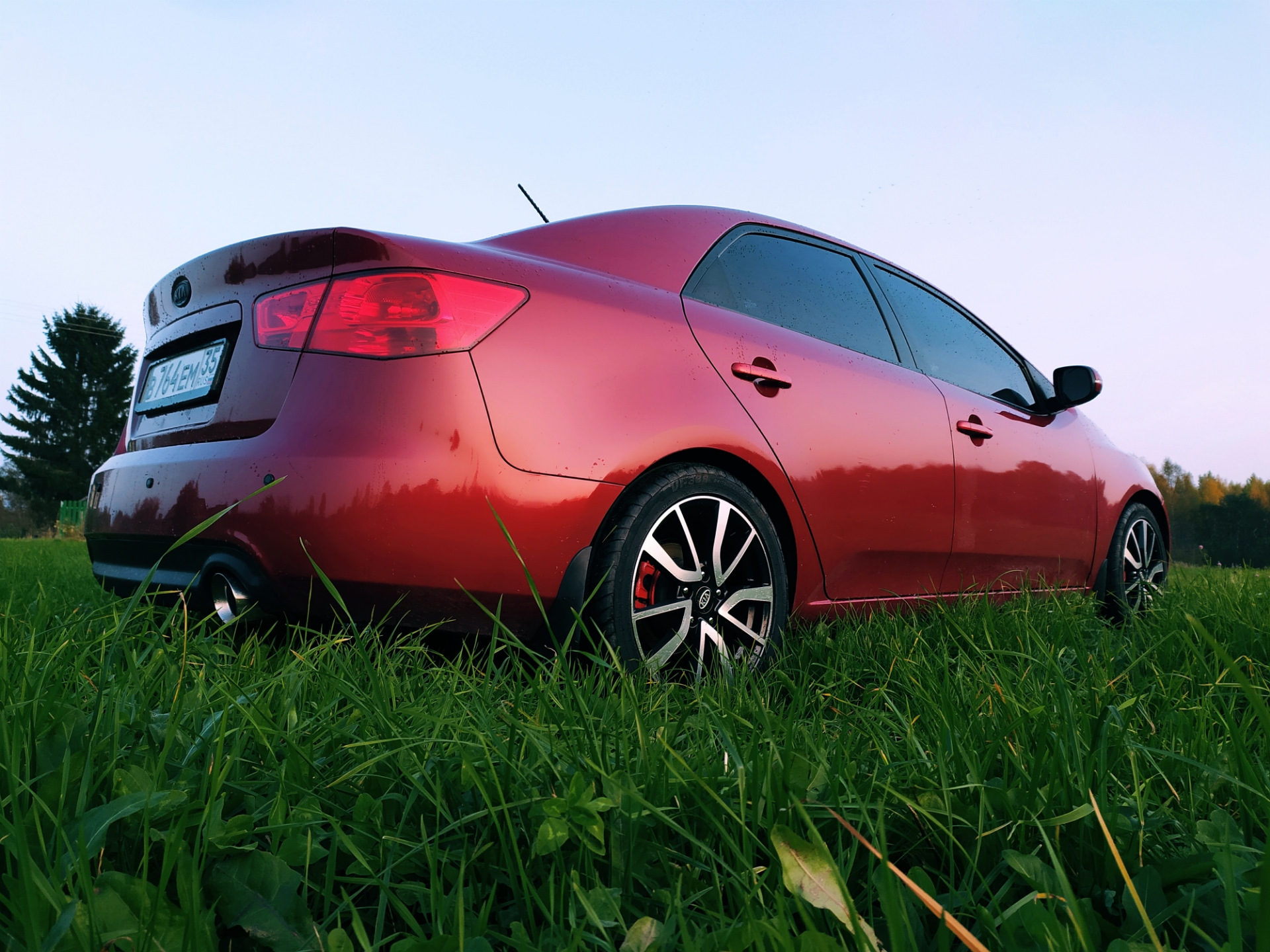 Аэрография Kia Cerato Koup