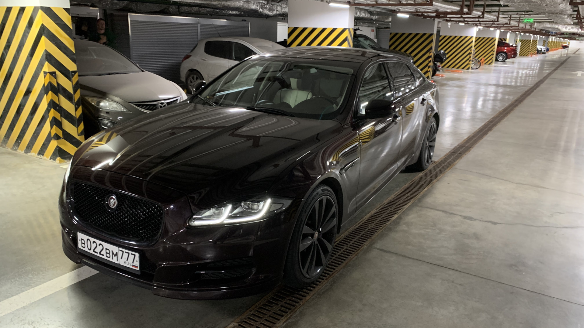 Jaguar XJ Mark 4 3.0 дизельный 2012 | Дикий кот на DRIVE2