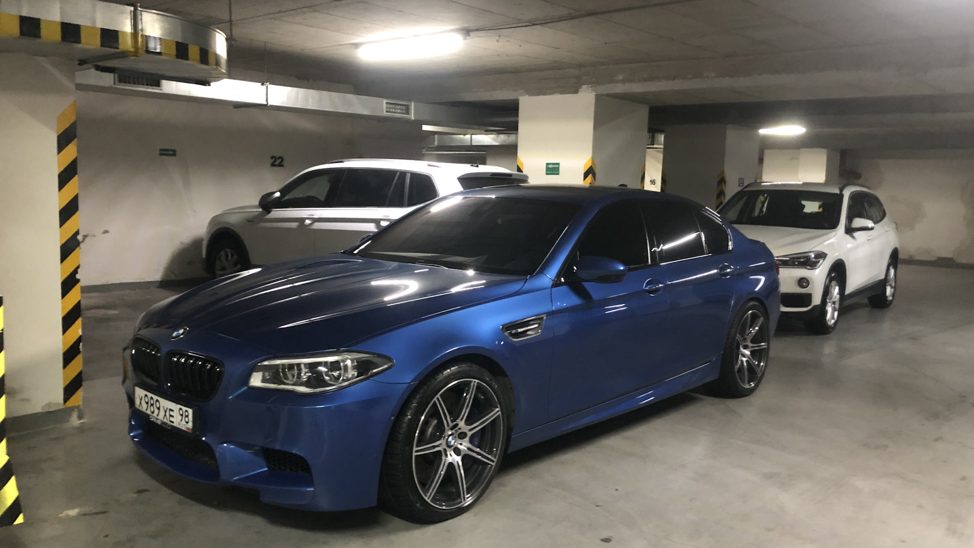 BMW M5 (F10) 4.4 бензиновый 2013 | Синяя Акула на DRIVE2