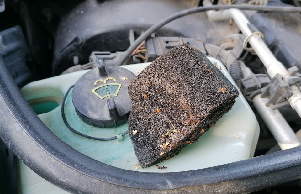 Губка для фильтрации воды с лобового. — Lincoln Town Car III