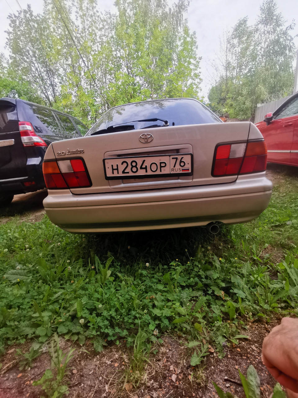 Смена на квадратный номер — Toyota Camry (V40), 2 л, 1998 года | стайлинг |  DRIVE2