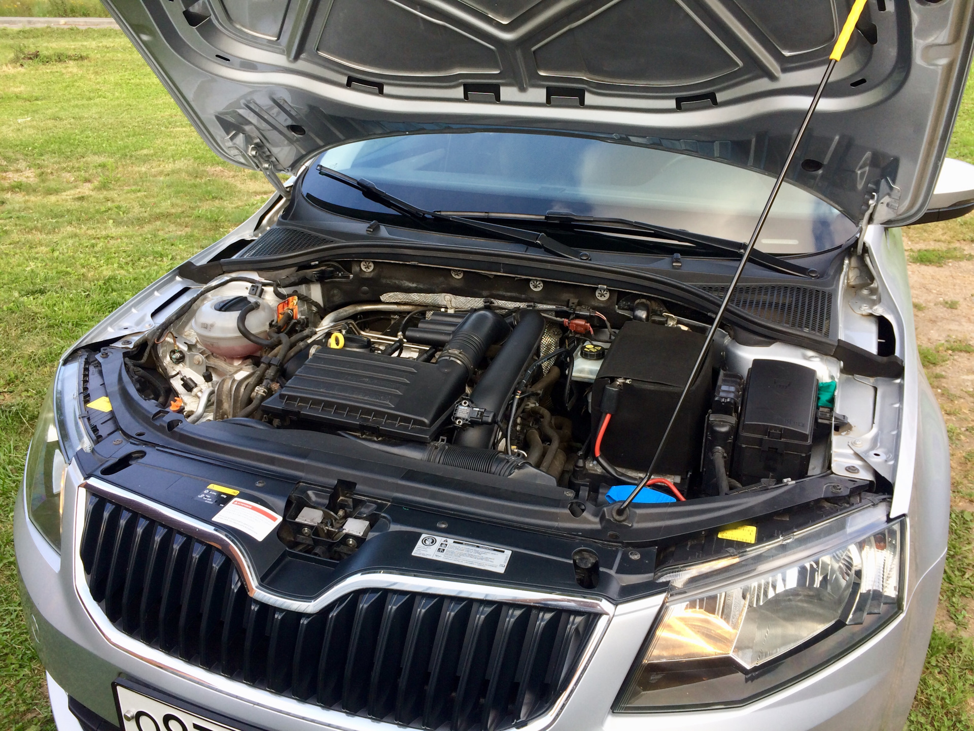 Присадка Liqui Moly Стоп-шум гидрокомпенсаторов — Skoda Octavia A7 Mk3 ...