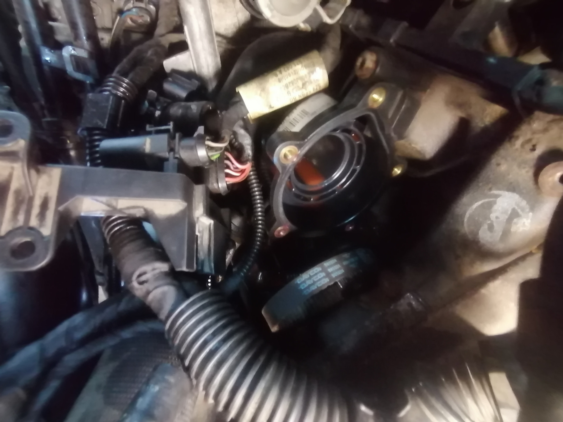 Замена помпы 1.8 TSI — Skoda Octavia A5 Mk2, 1,8 л, 2009 года | своими ...