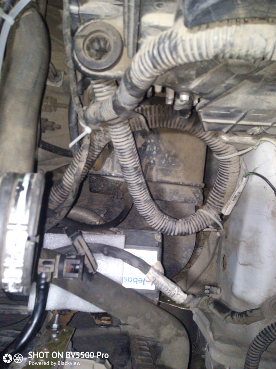 Фото в бортжурнале Ford Focus III Wagon