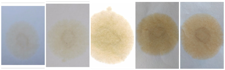 Капельные пробы от 1000 км до 5000 км.(слева — направо) — Ford Edge (1G)