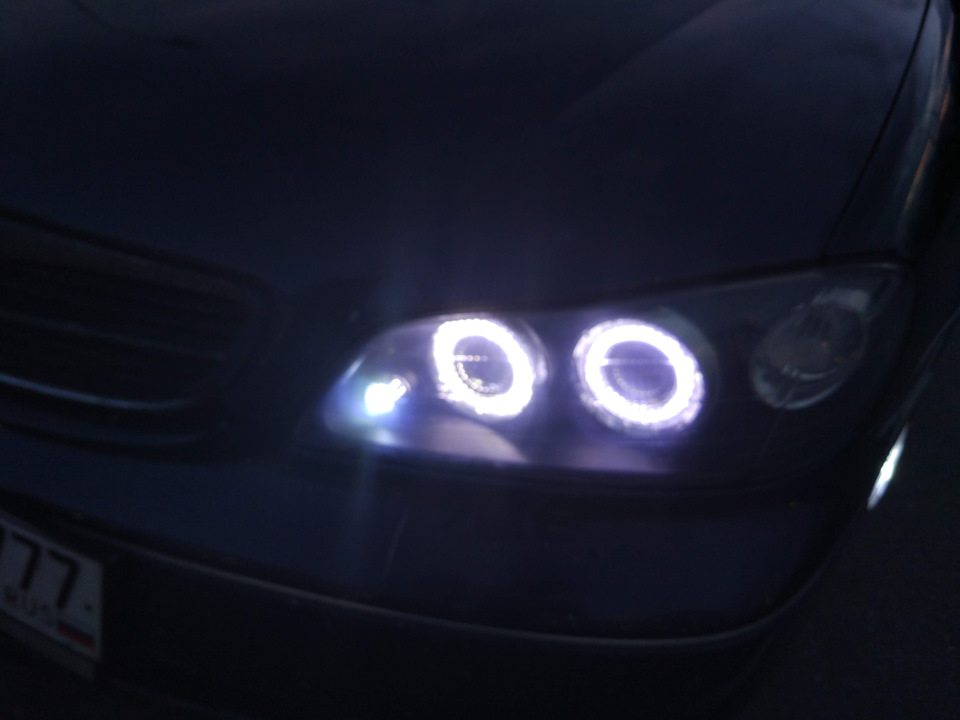 Заменил фары на линзованные. — Nissan Maxima QX (A33), 3 л, 2001 года ...