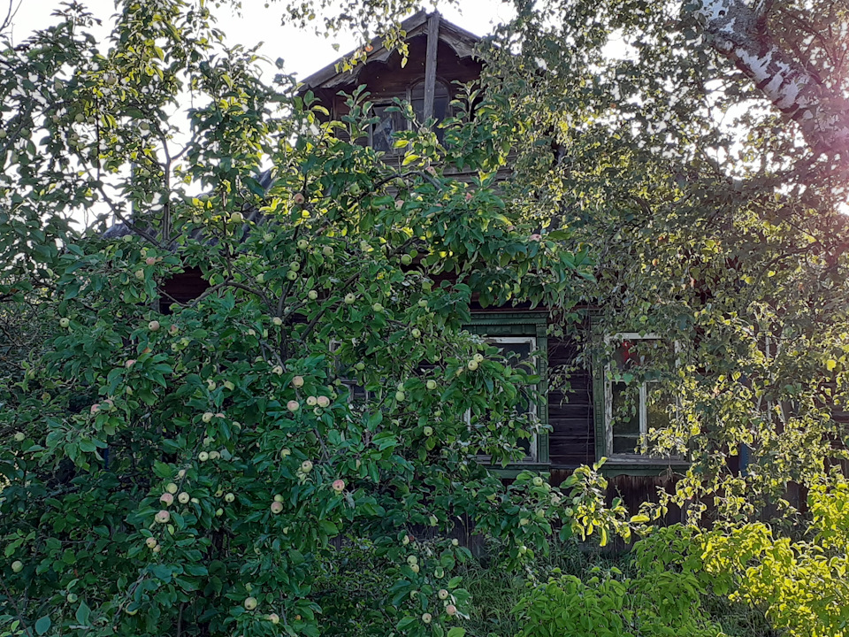 Переварка арок и порогов — Honda Civic Fastback (5G), 1,6 л, 1995 года ...