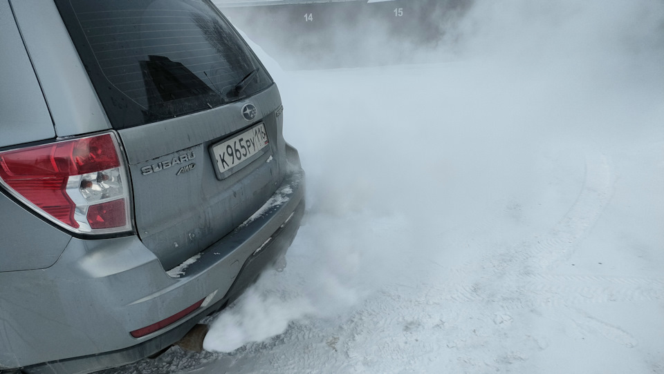 Фото в бортжурнале Subaru Forester (SH)