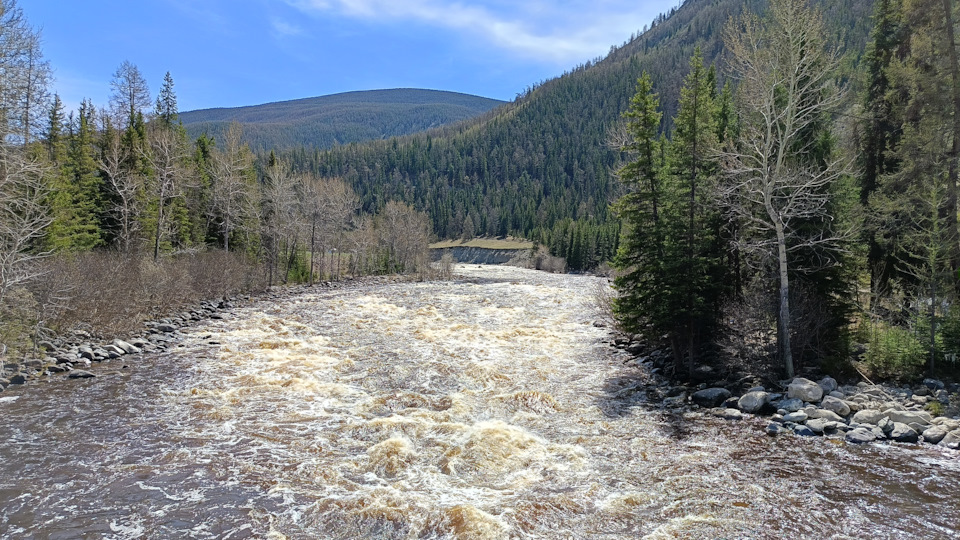 Чулышман бежит — Subaru Impreza (GD/GG)