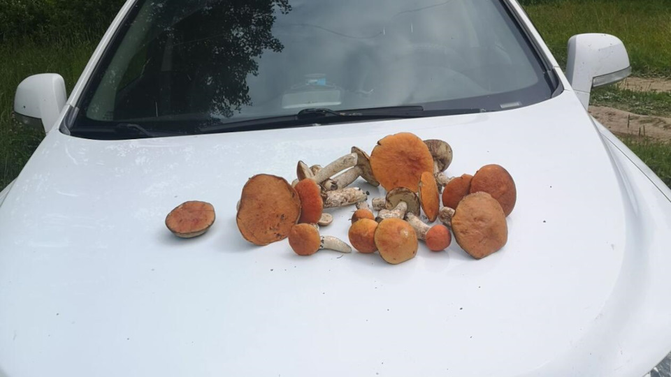 Короткий ремень в обход компрессора кондиционера Капы 2,4 бензин ...