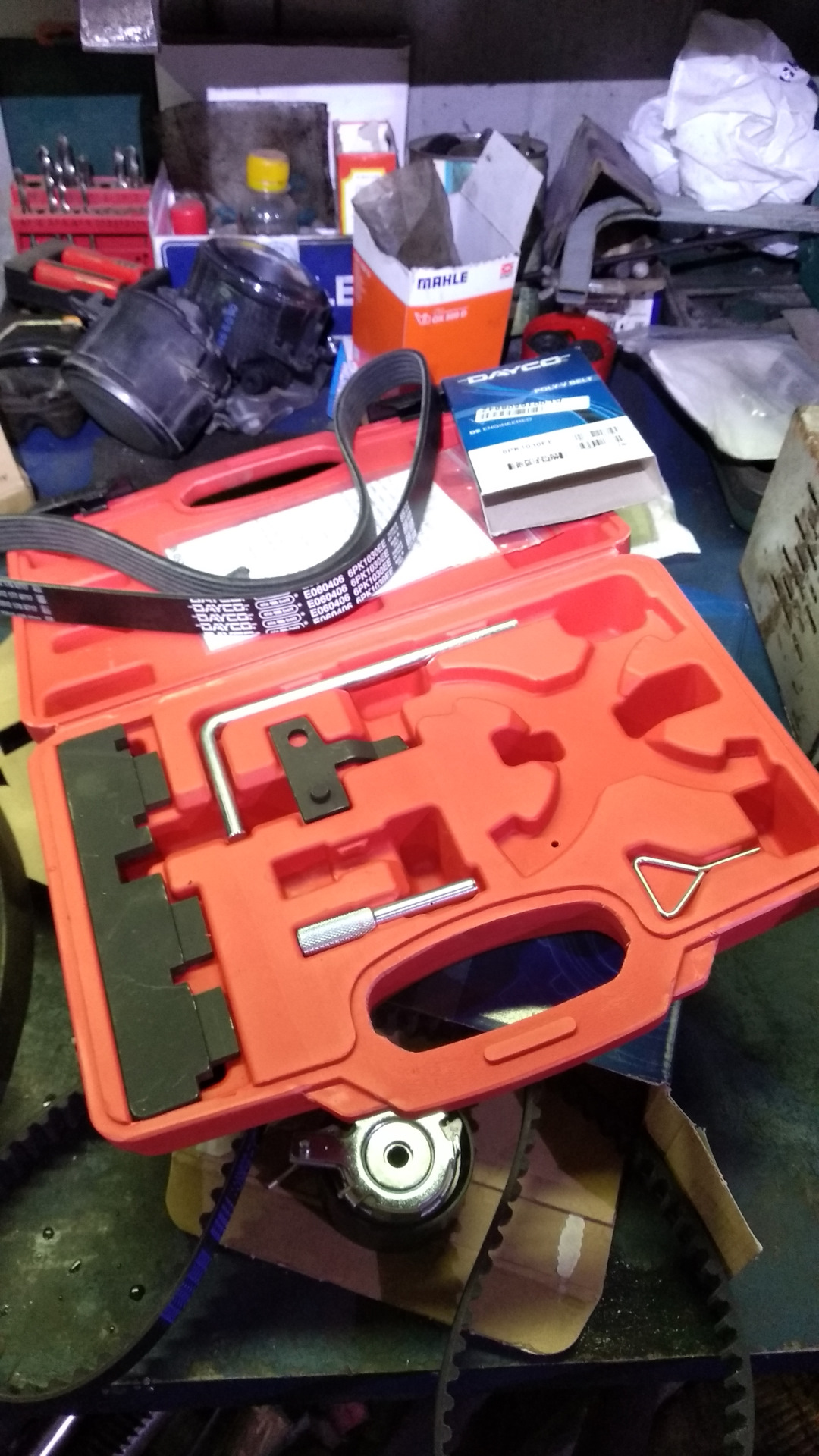 Замена ремня грм — Ford Focus Sedan III, 1,6 л, 2011 года | своими ...