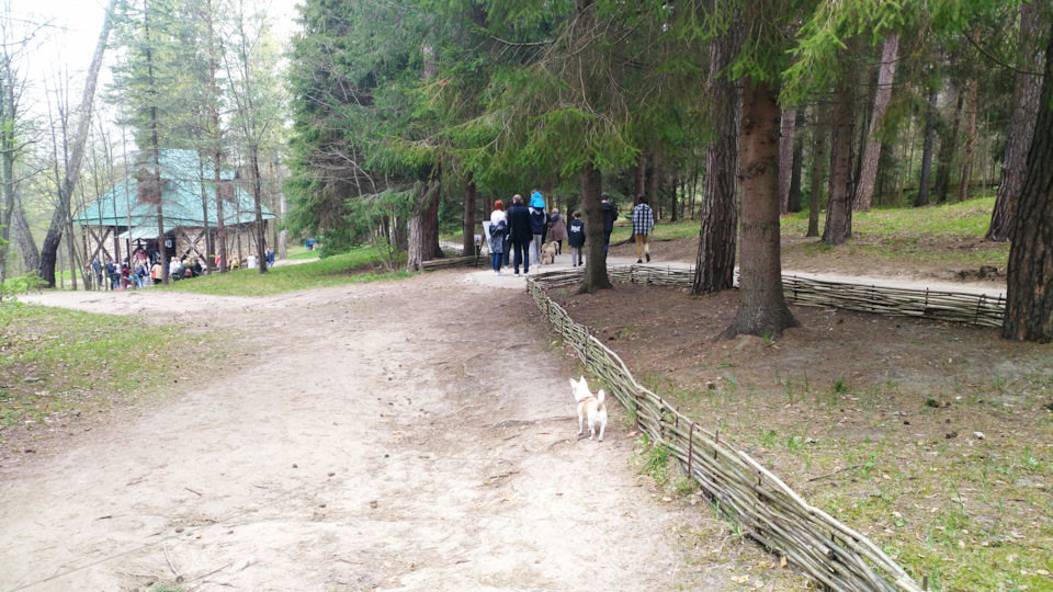 Фото в бортжурнале Ford Focus Sedan II