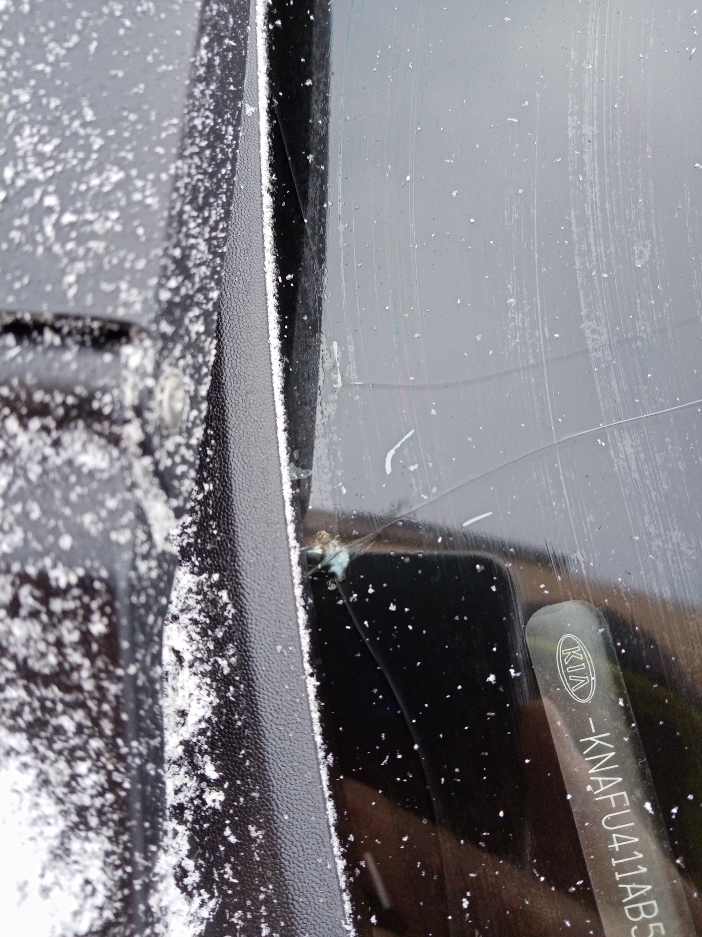 Лобовое стекло отзывы какую марку взять — KIA Cerato (2G), 1,6 л., 2011 ...