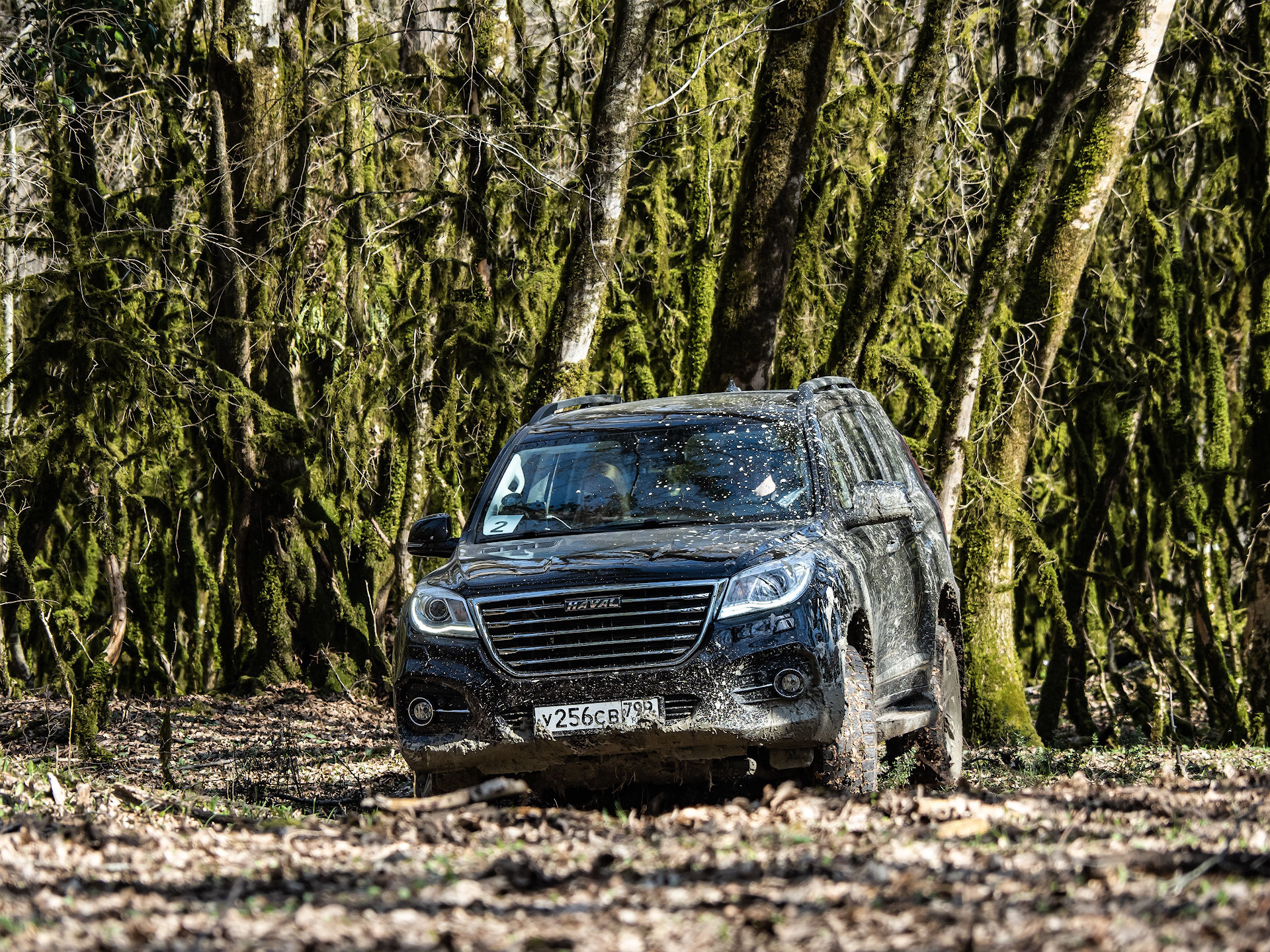 хавал на бездорожье видео