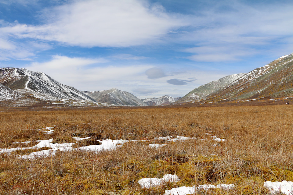 Фото в бортжурнале Toyota Land Cruiser 80
