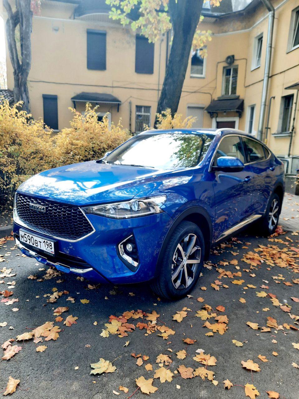 Синий дельфин — DRIVE2