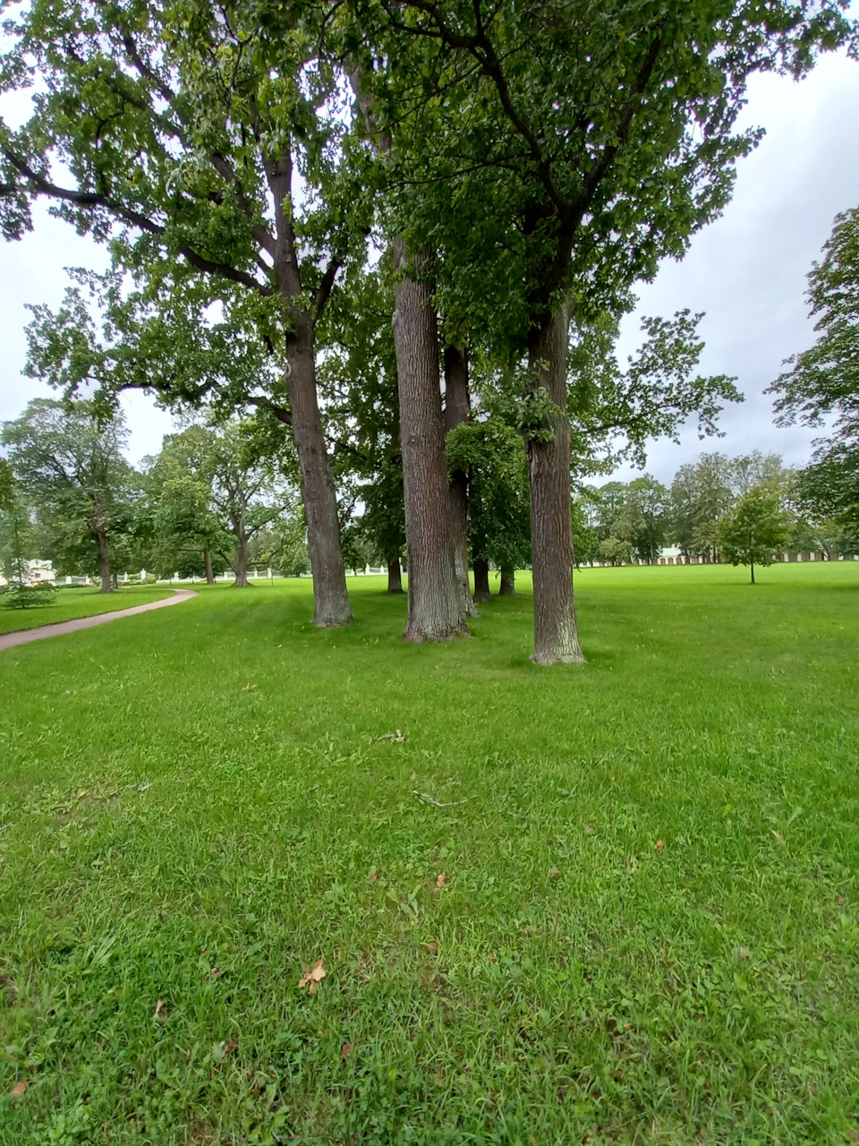 Фото в бортжурнале Renault Sandero 2G