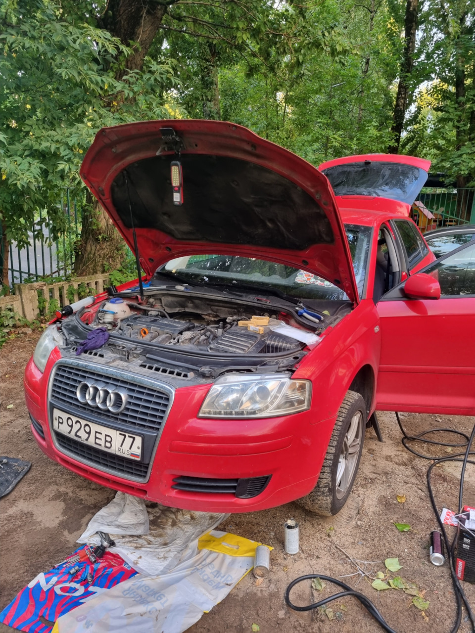 Фото в бортжурнале Audi A3 (8P)